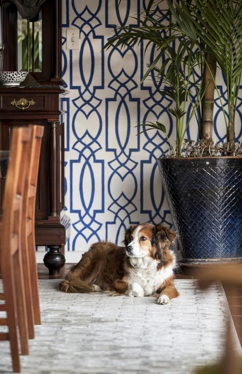 Poseidon Guest House Hout Bay Dış mekan fotoğraf